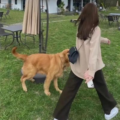 炽爱伤痕